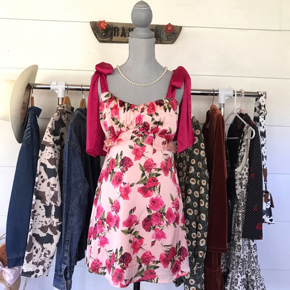 Francesca’s pink floral girly mini dress